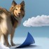 Pet Changing Pad for Cat, Kitten, Dog, Puppy Pets Training Mat - Size S (26g/piece, 33 X 45CM, 80pcs/pack) - About RM0.56/piece