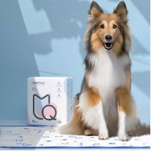 Pet Changing Pad for Cat, Kitten, Dog, Puppy Pets Training Mat - Size M (50g/piece, 45 X 60CM, 40pcs/pack) - About RM1.13/piece