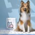 Pet Changing Pad for Cat, Kitten, Dog, Puppy Pets Training Mat - Size S (26g/piece, 33 X 45CM, 80pcs/pack) - About RM0.56/piece