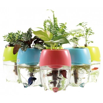 Fish &amp; Plant Jar