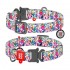 WAU DOG Adjustable Pattern Nylon Collar with Metal Buckle (25mm x 14"-23") - Available 18 Pattern - Collar From COLLAR COMPANY Ukraine