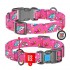 WAU DOG Adjustable Pattern Nylon Collar with Plastic Buckle (25mm x 14"-23") - Available 18 Pattern - Collar From COLLAR COMPANY Ukraine